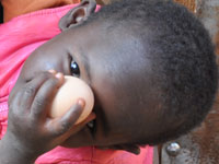 Little Fingy's Kuku (Chicken) Farming for Eggs